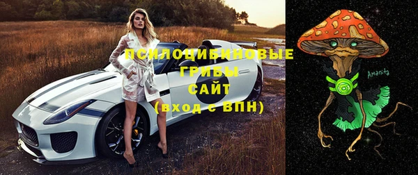 гидропоника Чердынь