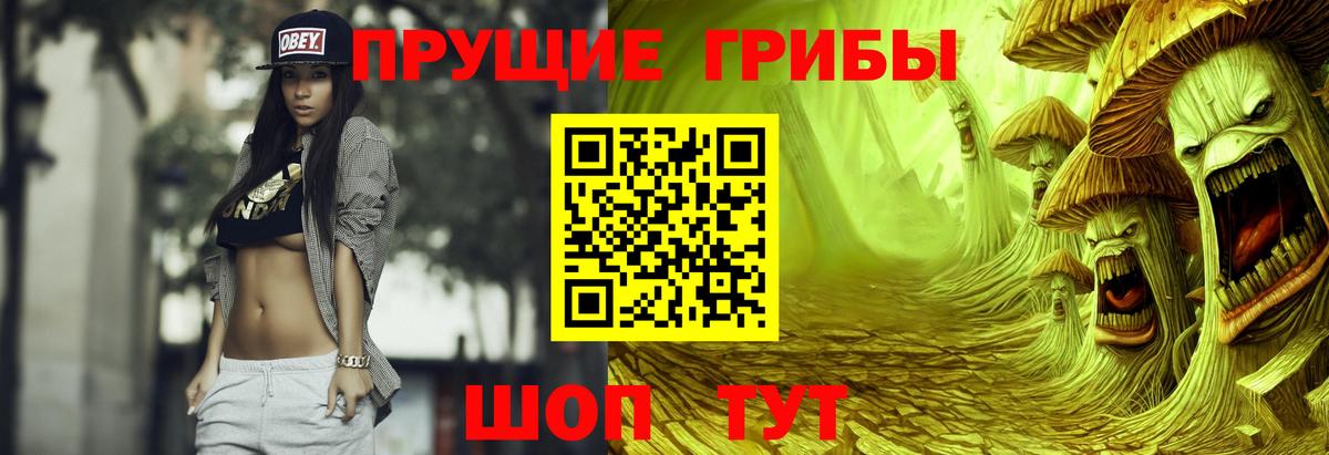 Галлюциногенные грибы Cubensis Медногорск