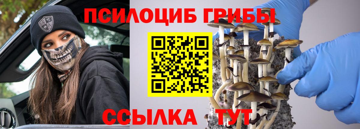 Псилоцибиновые грибы Magic Shrooms  Вход с VPN  Медногорск 